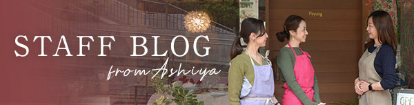 芦屋 STAFF BLOG