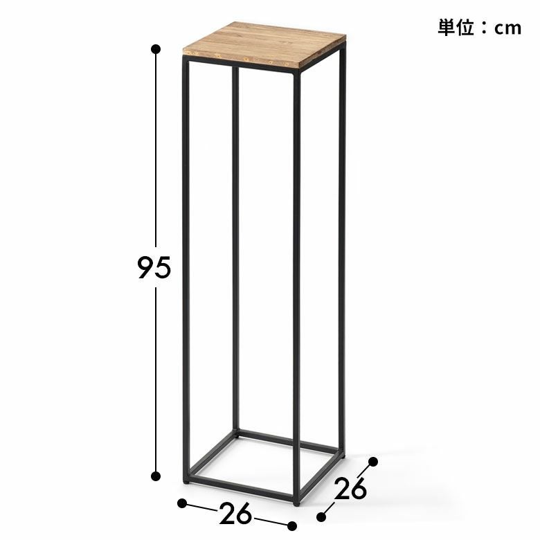 サイズ