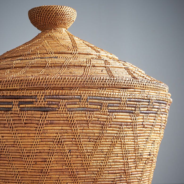 シダ科の植物「アタ」が素材