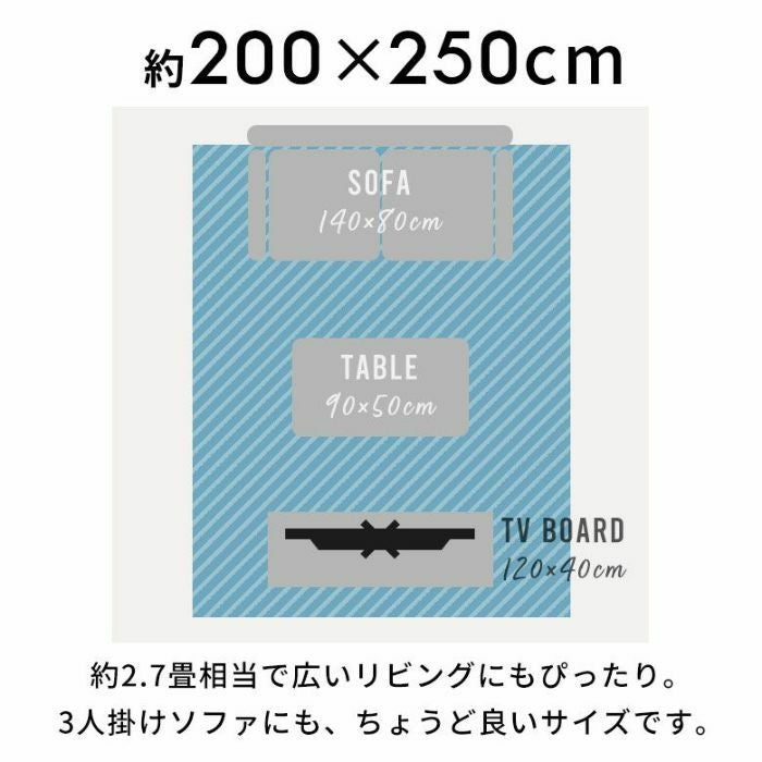 サイズ感
